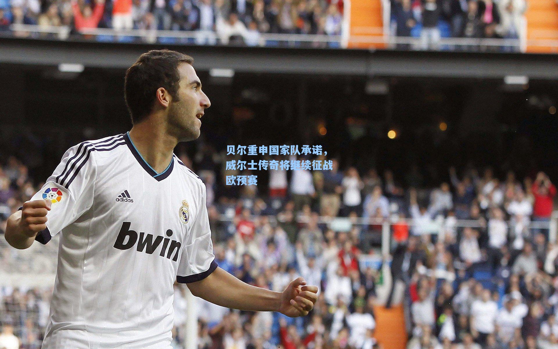 贝尔重申国家队承诺，威尔士传奇将继续征战欧预赛