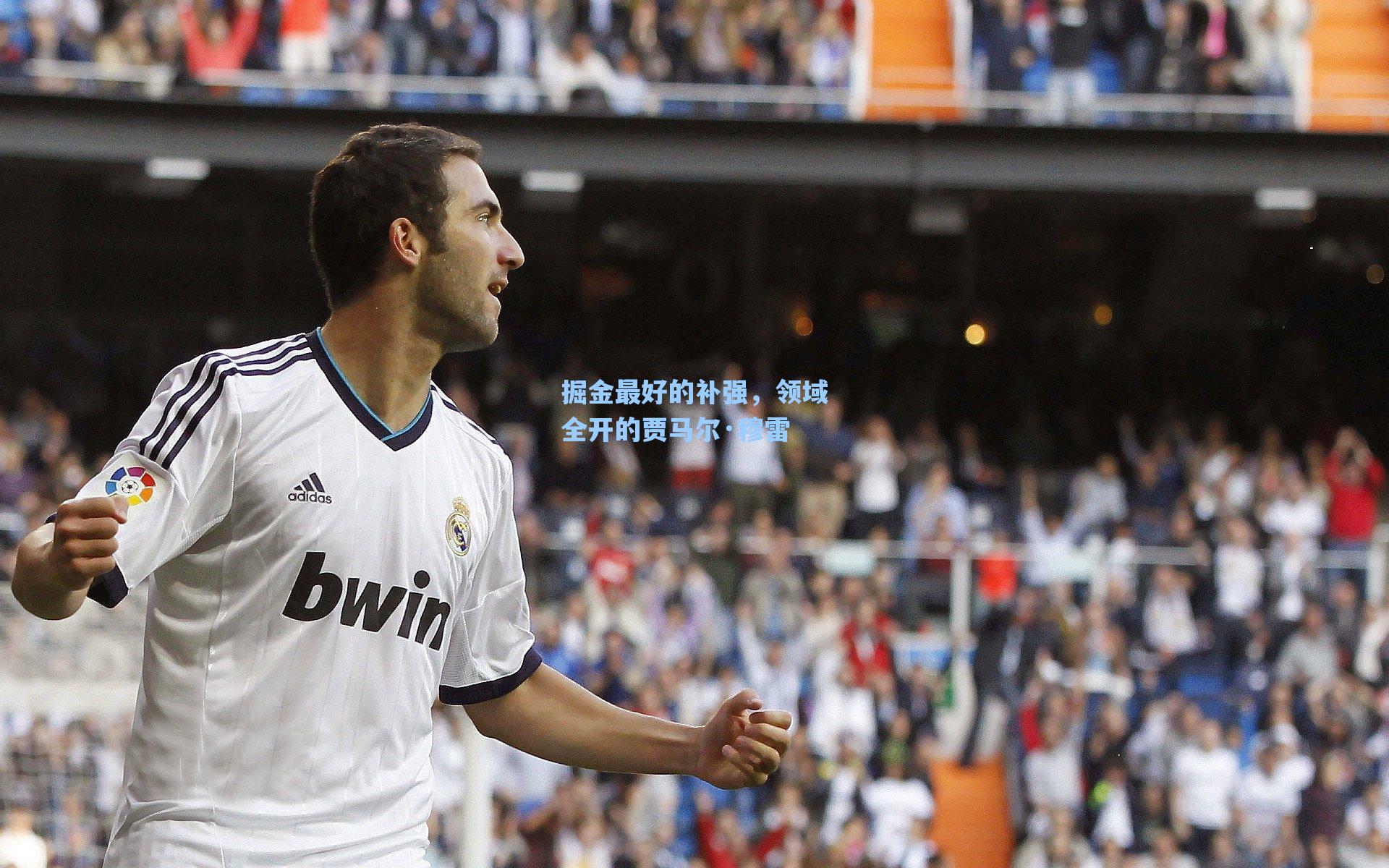 掘金最好的补强，领域全开的贾马尔·穆雷